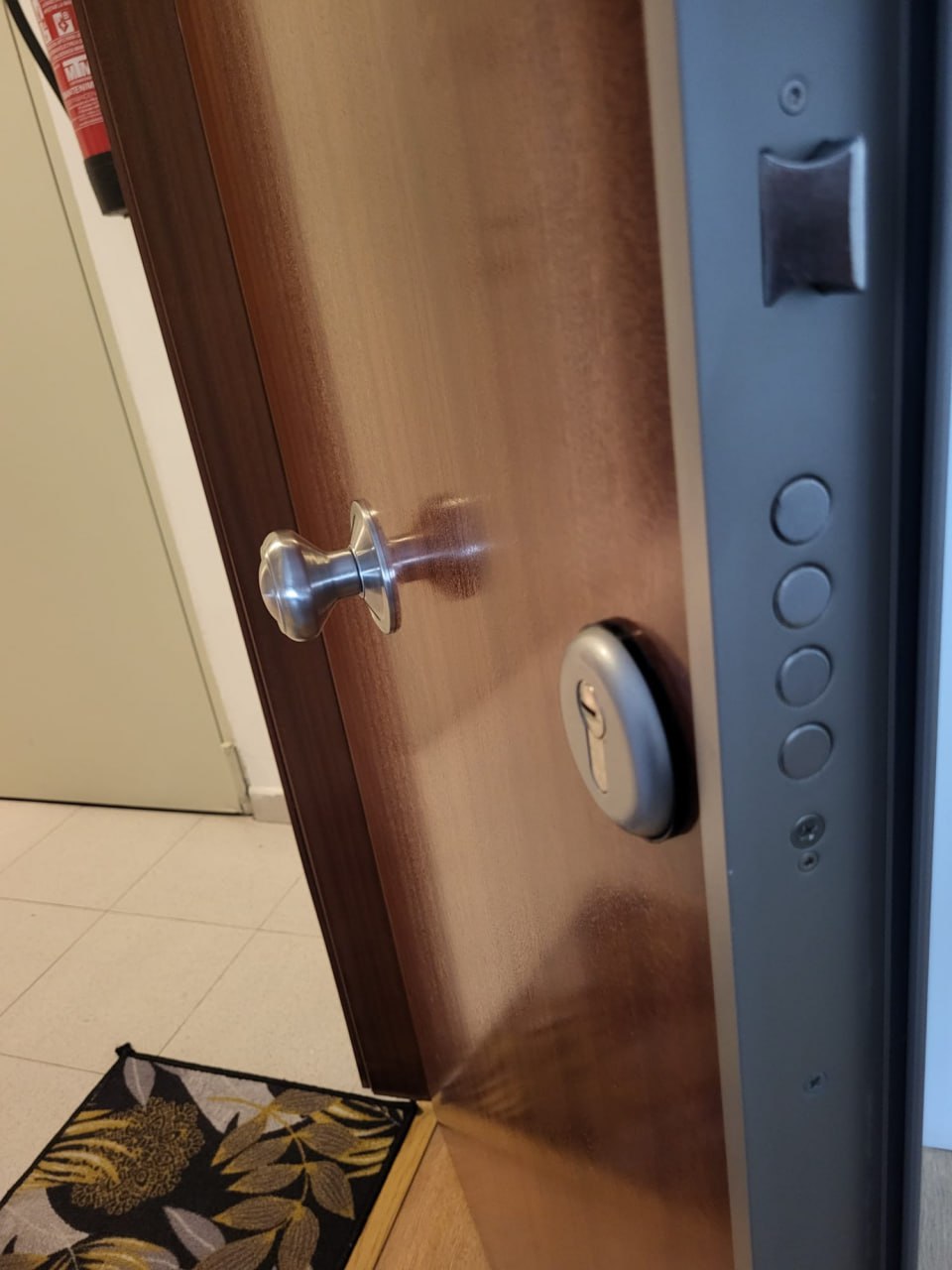 puerta cerrajero